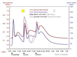 Normal Blood Sugar Range Lavels Chart by Age - News Nit
