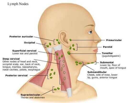 Swollen Lymph Nodes In Neck News Nit Swollen Lymph Nodes In Neck
