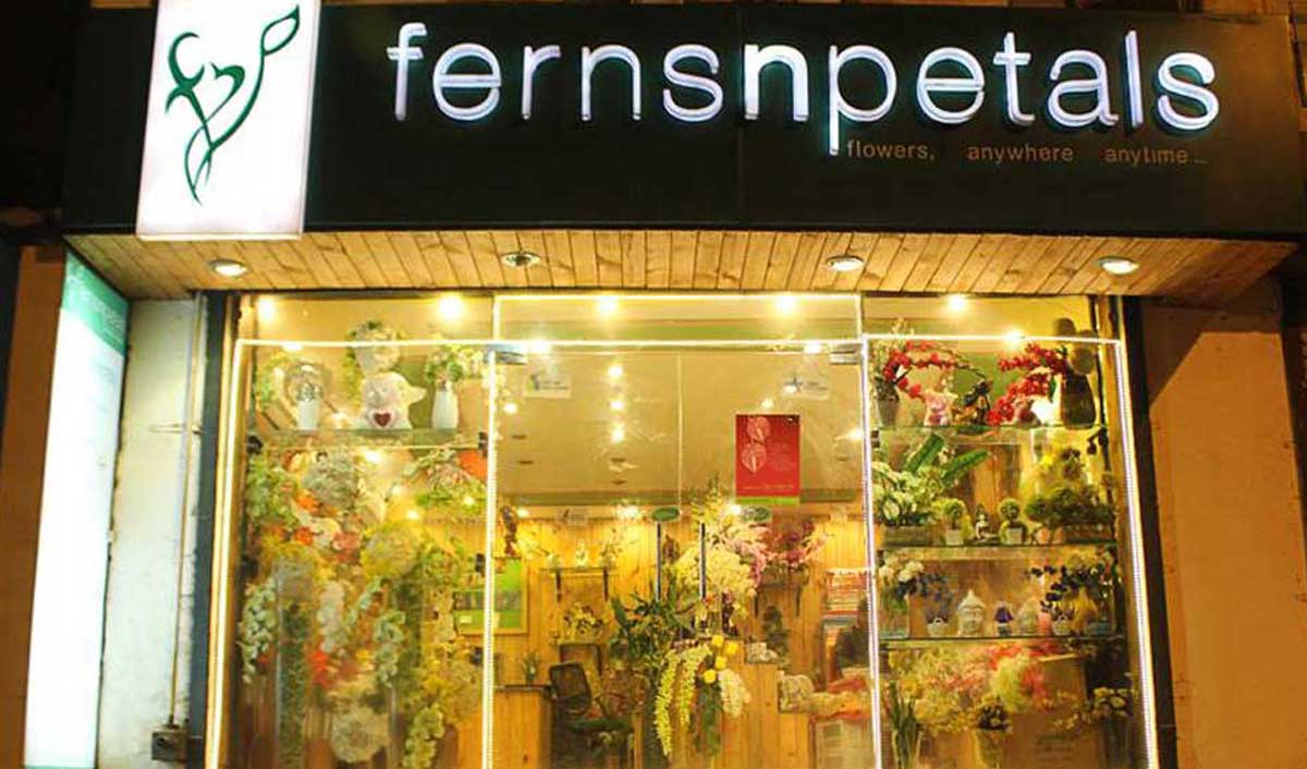 Ferns and petal 