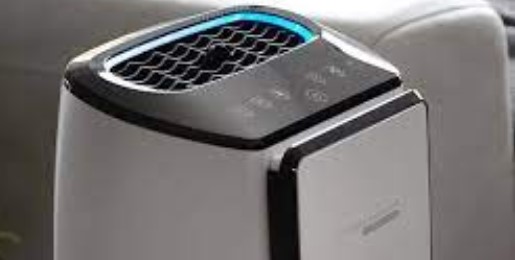 Best Air Purifier for Mites and Allergies - Rowenta PU4020