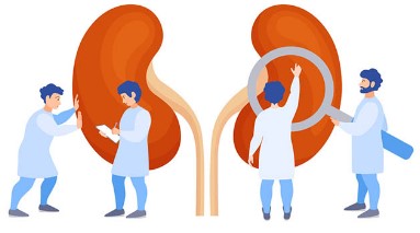 When to Start Dialysis Creatinine Level? That is a question that many people ask when they have been diagnosed with kidney problems