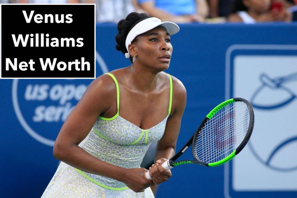 Venus Williams net worth: How she makes her money