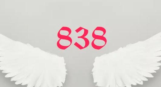 838 Angel Number